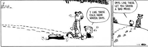 calvin and hobbes raw gray winter days.JPG