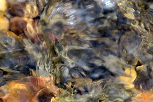 IMG_7910.JPG (125.69 KiB) Viewed 1050 times IMG_7910.JPG