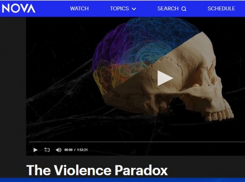 violence paradox.JPG