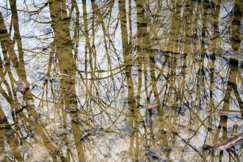 IMG_2208.JPG (219.48 KiB) Viewed 2201 times Sweet Air section of Gunpowder Falls State Park
