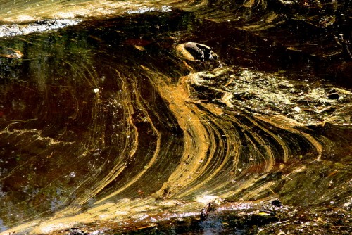 IMG_2823.JPG (249.77 KiB) Viewed 2000 times IMG_2823.JPG