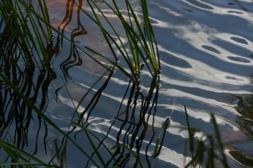 IMG_20150805_18578.jpg (291.71 KiB) Viewed 2013 times IMG_20150805_18578.jpg