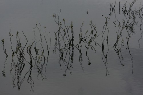 IMG_20130519_14448.jpg (229.39 KiB) Viewed 2013 times IMG_20130519_14448.jpg