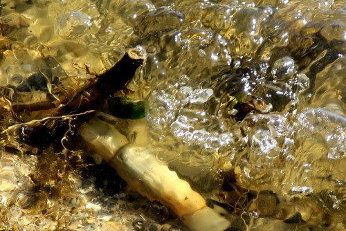 IMG_1323.JPG (186.15 KiB) Viewed 2303 times Chesapeake Bay