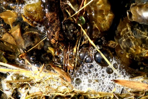 IMG_1027.JPG (209 KiB) Viewed 2405 times IMG_1027.JPG