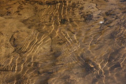 McLaughlin trail caustics.jpg