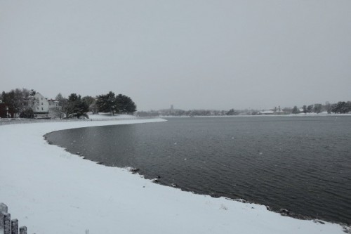 IMG_6066.JPG (56.63 KiB) Viewed 2101 times Lake Montebello yesterday 1-3-22