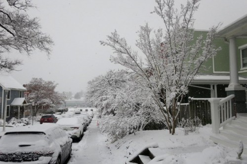 IMG_6056.JPG (118.42 KiB) Viewed 1844 times IMG_6056.JPG