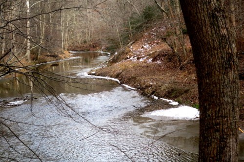 IMG_6361.JPG (173.92 KiB) Viewed 1911 times IMG_6361.JPG