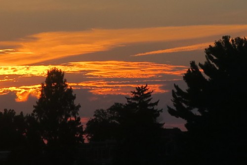 IMG_2269.JPG (54.78 KiB) Viewed 3340 times IMG_2269.JPG