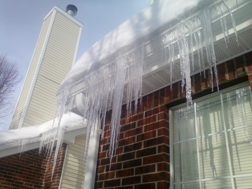 2011 Snow.jpg