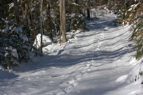 IMG_20250120_25163.jpg
