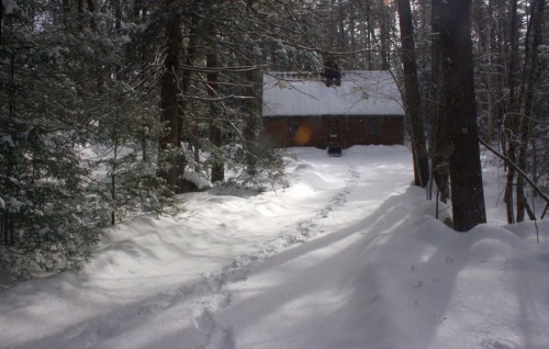 IMG_20250209_25194.jpg