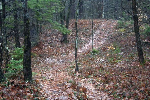 IMG_20250331_25460.jpg