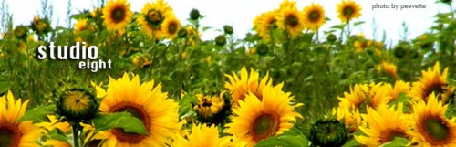 sunflowers_peevette.jpg