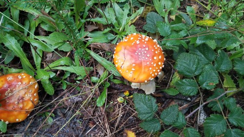 20231021_095819.jpg