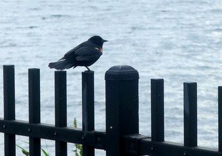 IMG_8110.JPG