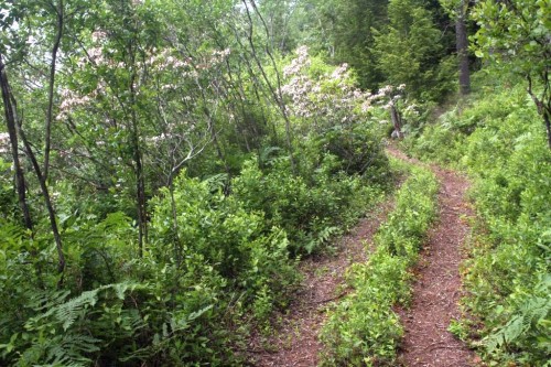 C_25934.jpg