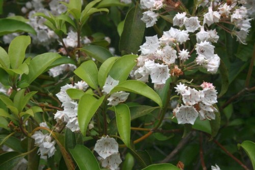 I_25937.jpg