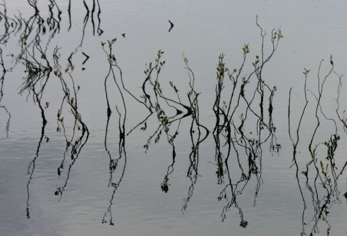 K_14448.jpg