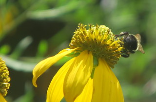IMG_8413.JPG