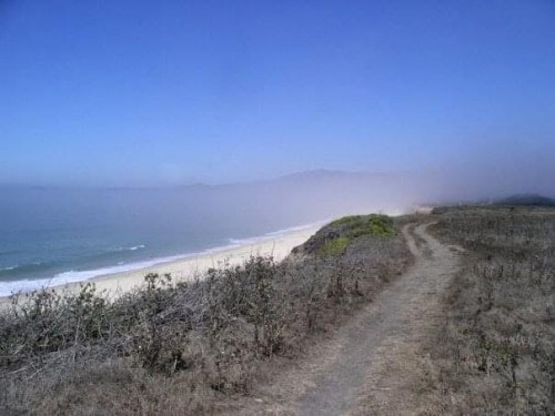 IMG_6202.jpeg