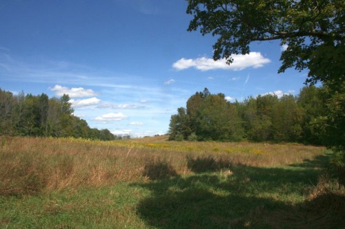 IMG_20250828_26185.jpg