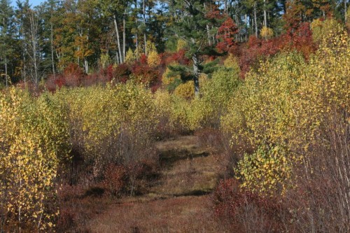 hIMG_20251016_26454b.jpg