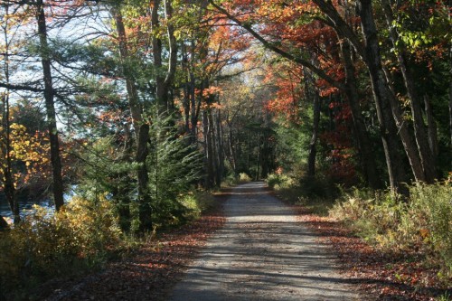 jIMG_20251016_26457b.jpg