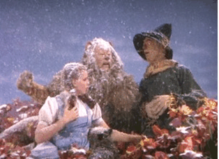 ScreenHunter_45 Jan. 21 11.08.gif
