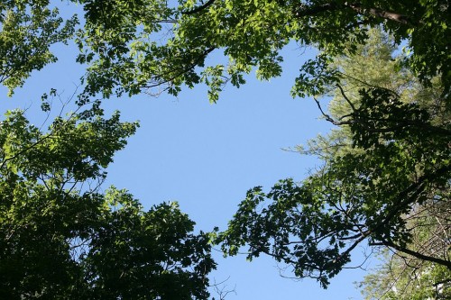 IMG_20260613_27209.jpg