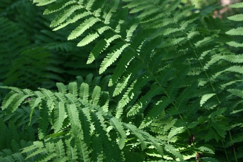 IMG_20260613_27213.jpg