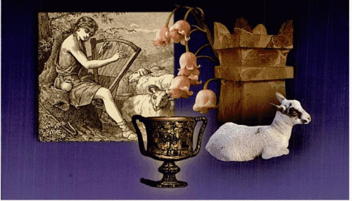 ScreenHunter_01 Feb. 10 14.35.gif